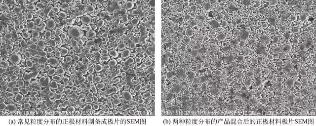 不同粒度分布的正極材料極片SEM圖