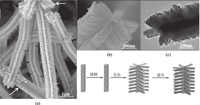 Fe2O3/SnO2異質(zhì)納米結(jié)構(gòu)的形成機(jī)理和形貌