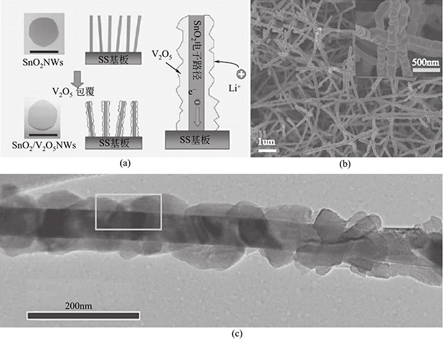 V2O5/SnO2核殼納米線(xiàn)的形成機(jī)理和形貌