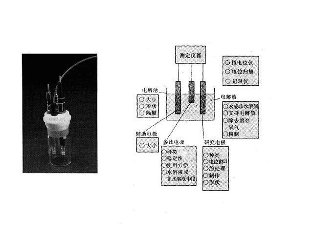 三電極電解池示意圖